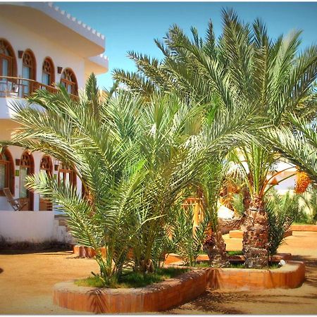 Shams Hotel & Dive Centre Dahab Esterno foto