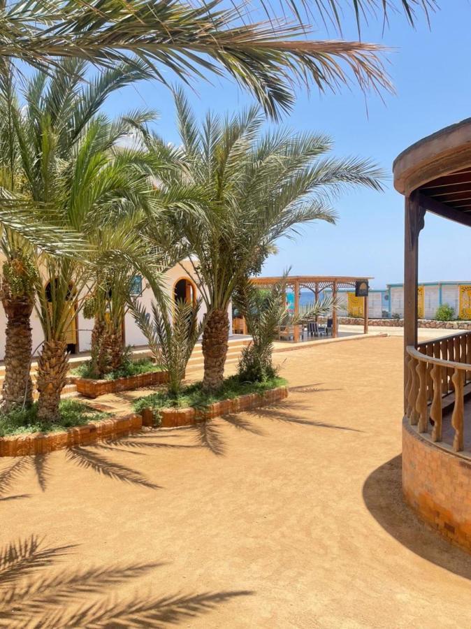 Shams Hotel & Dive Centre Dahab Esterno foto